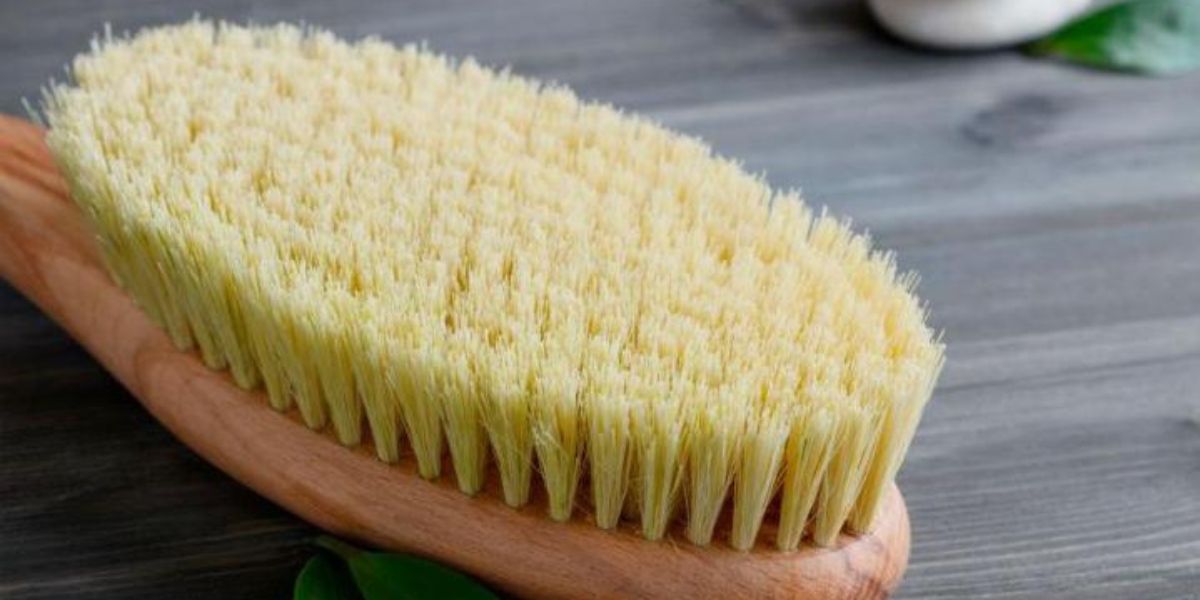 Cleaning Your Wild Boar Bristle Beard Brush