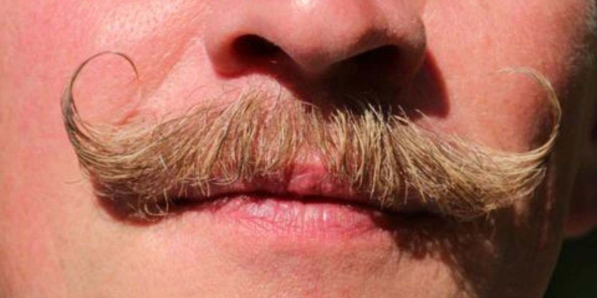 Grow a Thicker Mustache