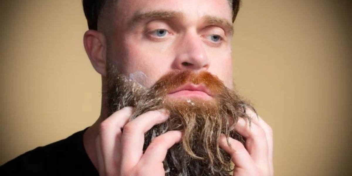 How To Groom Straight, Wavy, & Curly Beards