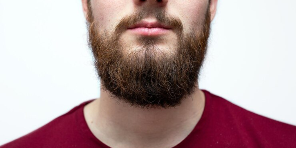 50 Long Beard Styles for