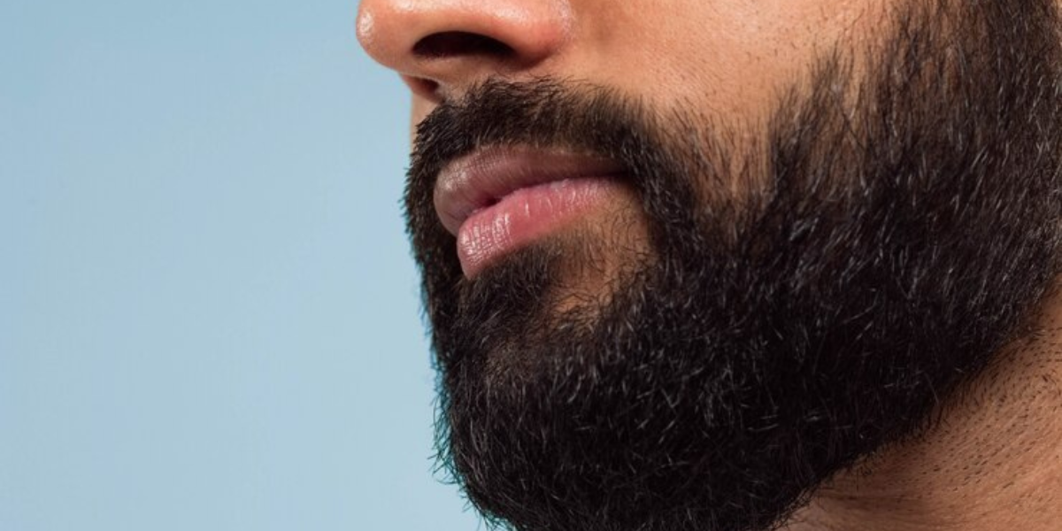 50 Long Beard Styles for