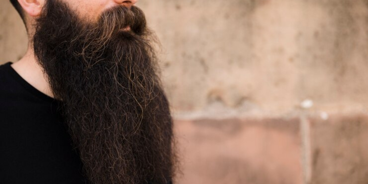 50 Long Beard Styles for