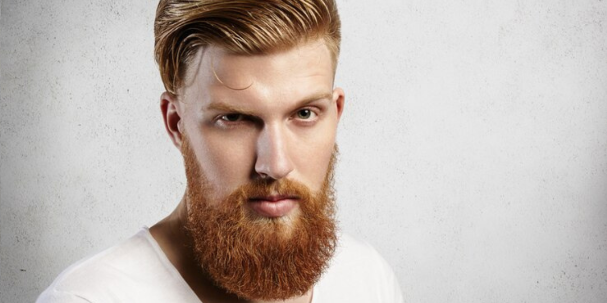 50 Long Beard Styles for