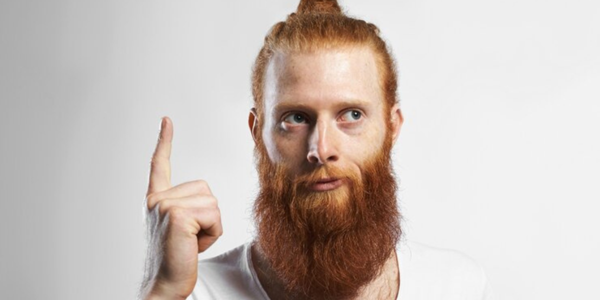 50 Long Beard Styles for