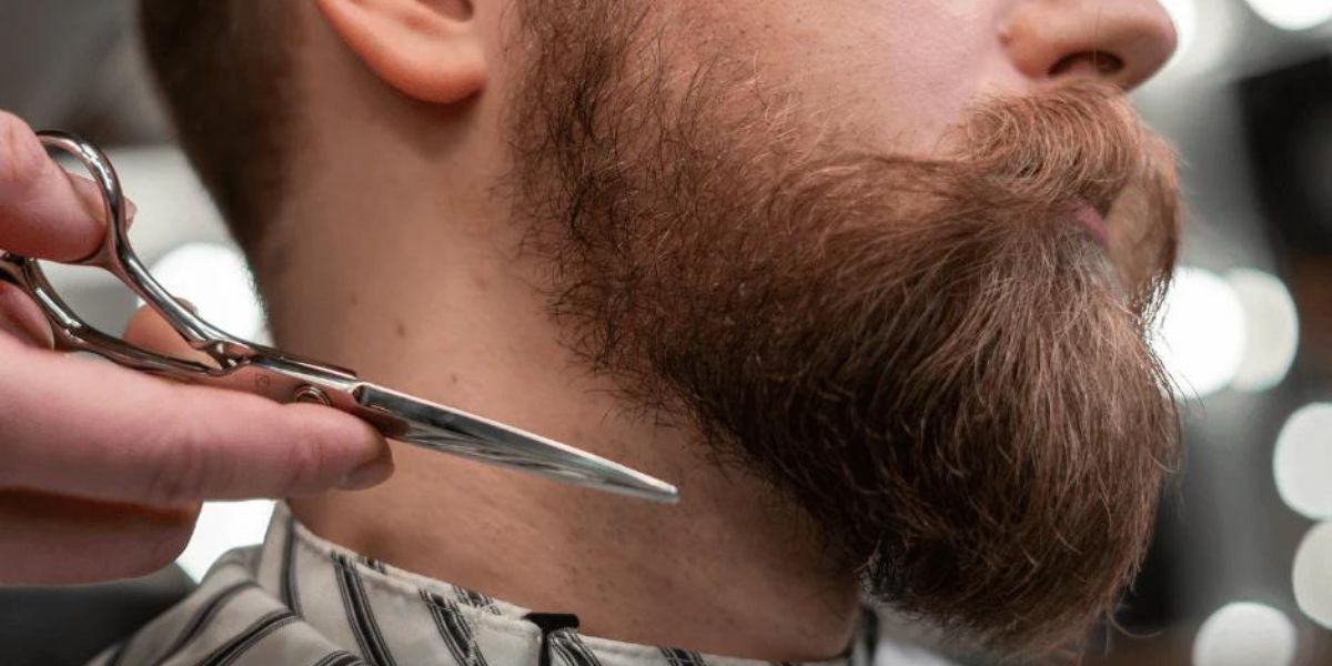  Beard Hair and Prevent Future Damage